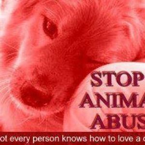 Meet your Posher, Anneliese